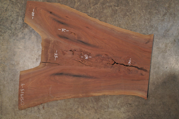 Oregon Black Walnut Slab 051915-09