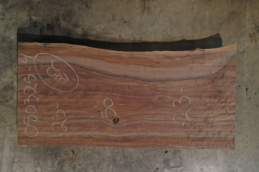 Oregon Black Walnut Slab 080325-4