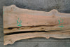 Big Leaf Maple Slab 110324-11