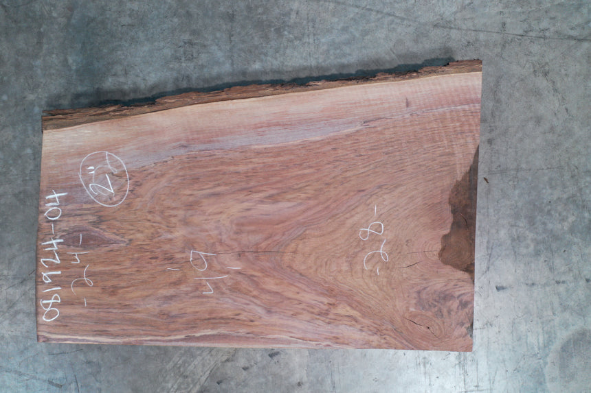 Oregon Black Walnut Slab 081924-04