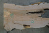 Big Leaf Maple Slab 110324-12