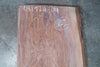 Oregon Black Walnut Slab 081924-04