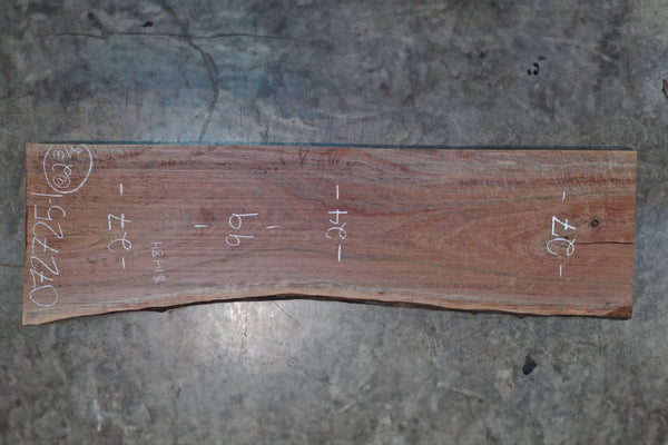 Oregon Black Walnut Slab 072725-1