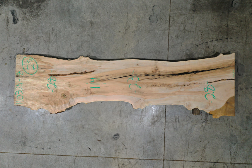 Big Leaf Maple Slab 110324-08