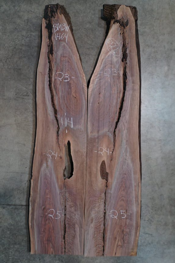 Oregon Black Walnut Bookmatch BMBW-1464