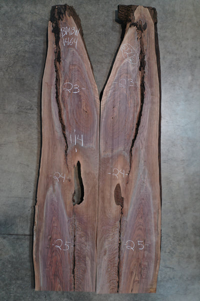 Oregon Black Walnut Bookmatch BMBW-1464