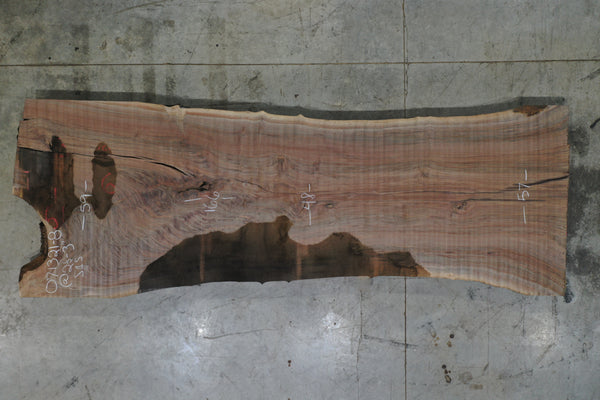 Oregon Black Walnut 071321-08