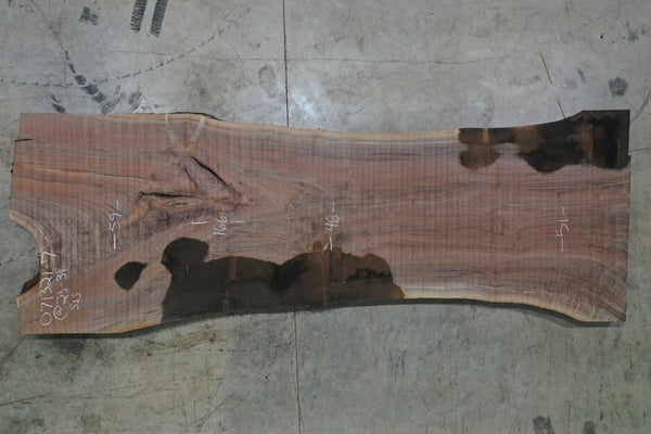 Oregon Black Walnut 071321-07