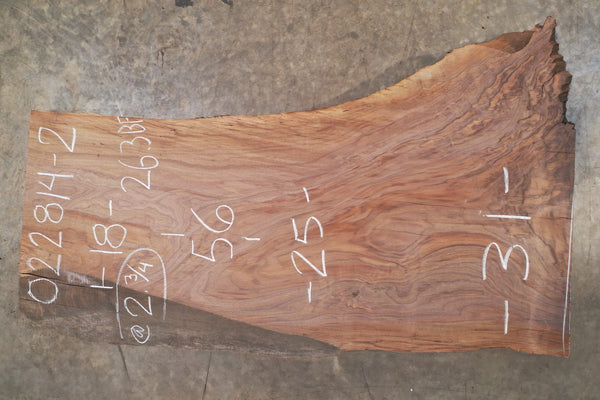 Oregon Black Walnut Slab 022814-2