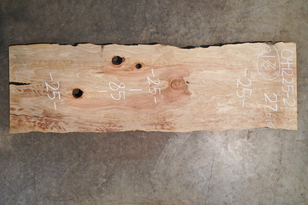 Oregon Black Walnut Slab 041225-2