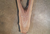 Oregon Black Walnut Slab 071822-12