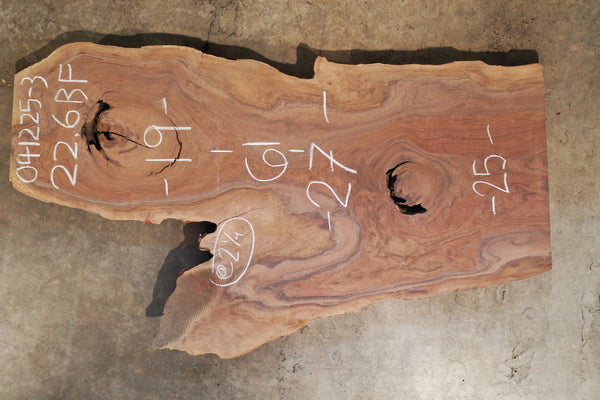 Oregon Black Walnut Slab 041225-3