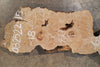 Big Leaf Maple Burl Slab 032522-15