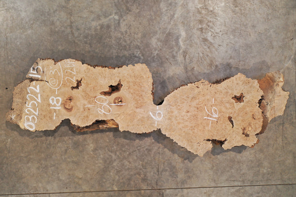 Big Leaf Maple Burl Slab 032522-15