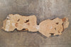 Big Leaf Maple Burl Slab 032522-15