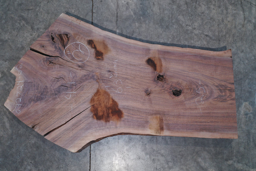 Oregon Black Walnut Slab 092724-02