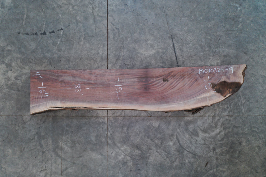 Oregon Black Walnut Mantle M070324-09