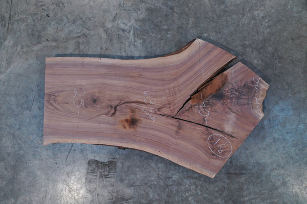 Oregon Black Walnut Slab 092724-01