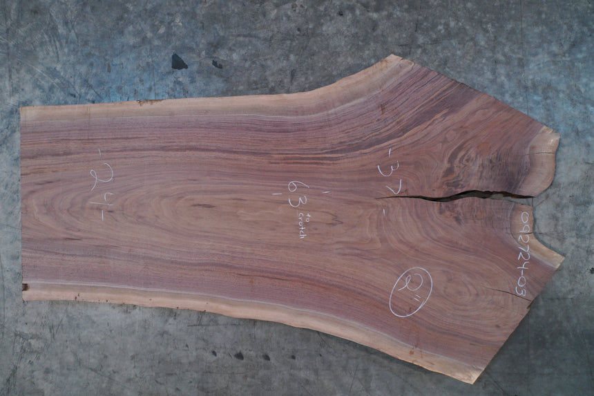 Oregon Black Walnut Slab 092724-03