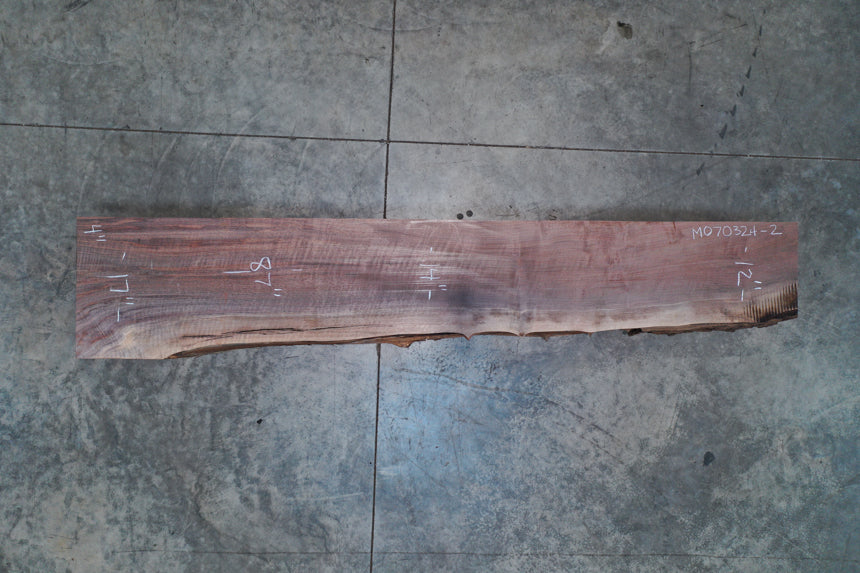 Oregon Black Walnut Mantle M070324-02