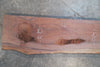 Oregon Black Walnut Slab 041325-08
