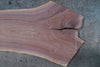 Oregon Black Walnut Slab 092724-03