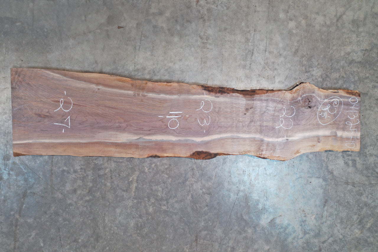 Oregon Black Walnut Slab 041325-10