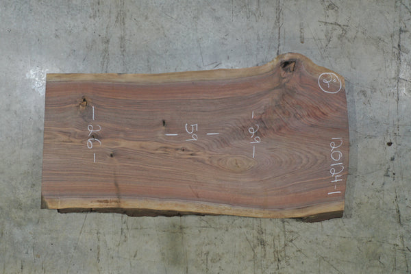 Oregon Black Walnut Slab 120124-01