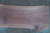 Oregon Black Walnut Slab 093024-06