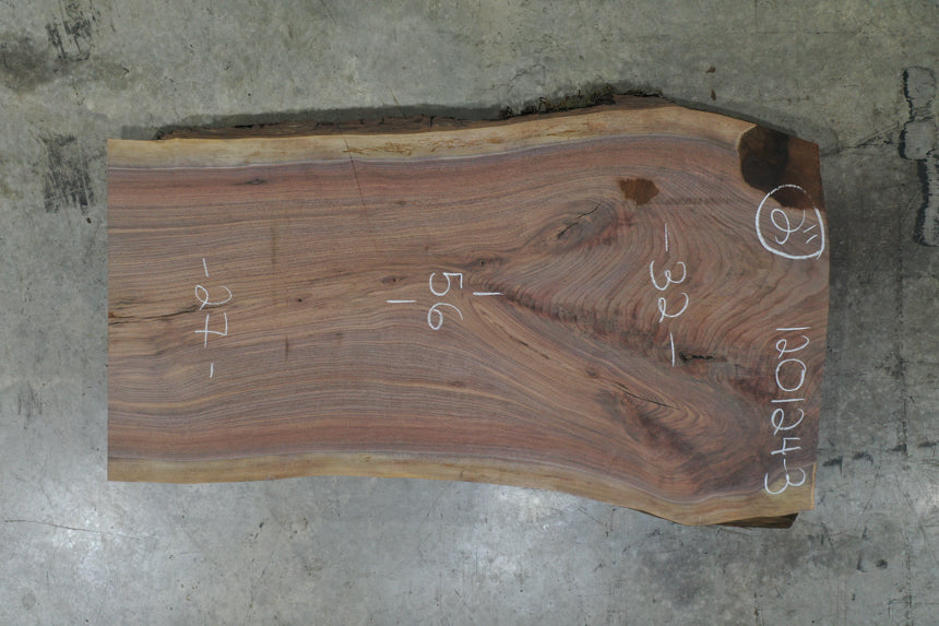 Oregon Black Walnut Slab 120124-03