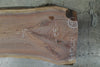 Oregon Black Walnut Slab 120124-03