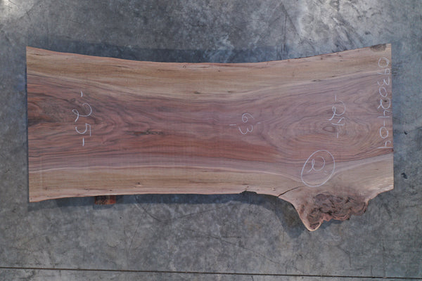 Oregon Black Walnut Slab 093024-04