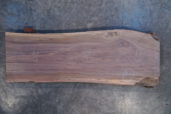 Oregon Black Walnut Slab 093024-03