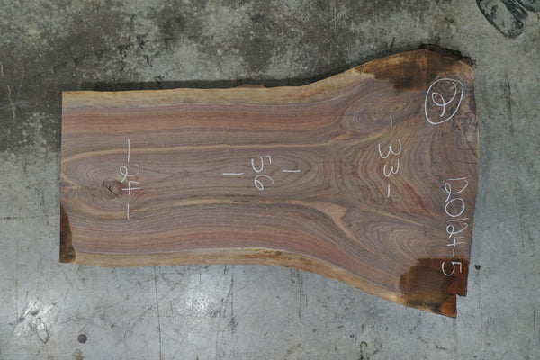 Oregon Black Walnut Slab 120124-05