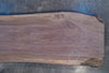 Oregon Black Walnut Slab 093024-03