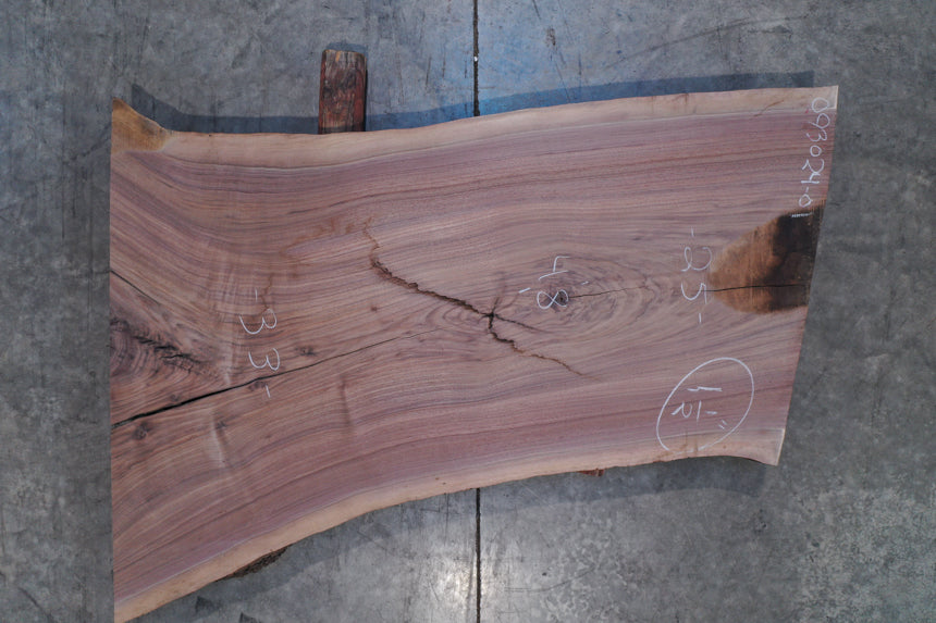 Oregon Black Walnut Slab 093024-01