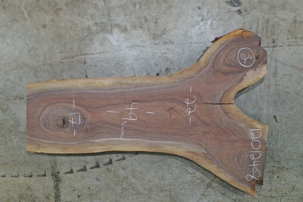 Oregon Black Walnut Slab 120124-08