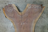 Oregon Black Walnut Slab 120124-08