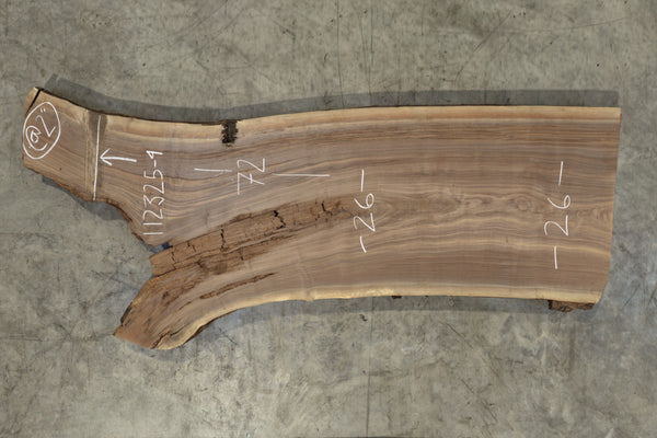 Oregon Black Walnut Slab 112325-4