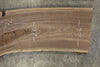 Oregon Black Walnut Slab 112325-4