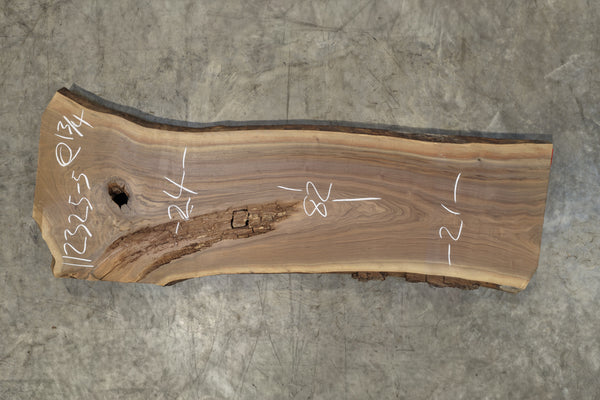Oregon Black Walnut Slab 112325-5
