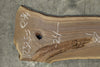 Oregon Black Walnut Slab 112325-5