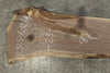 Oregon Black Walnut Slab 112325-6