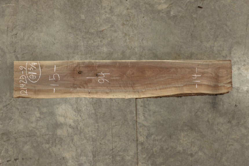 Oregon Black Walnut Slab 121425-9