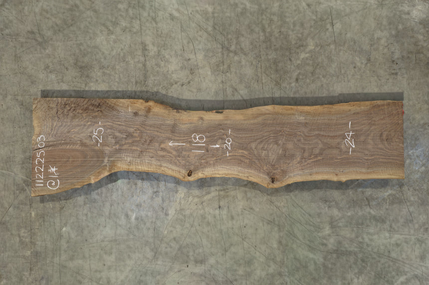 Oregon Black Walnut Slab 112225-3