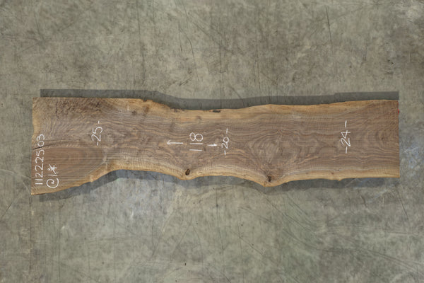 Oregon Black Walnut Slab 112225-3