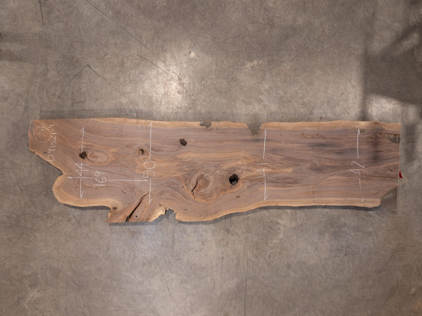 Oregon Black Walnut Slab 091521-9