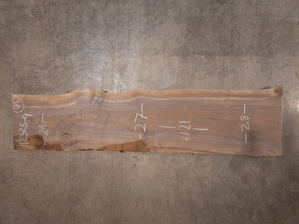 Oregon Black Walnut Slab 112325-9