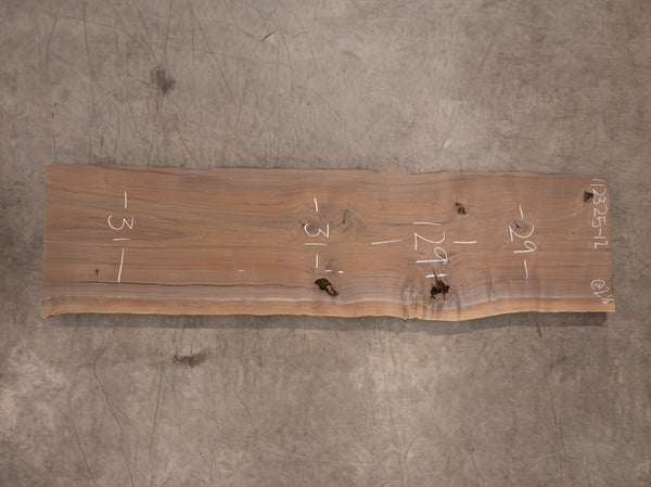 Oregon Black Walnut Slab 112325-12