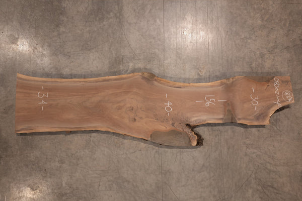 Oregon Black Walnut Slab 083021-4